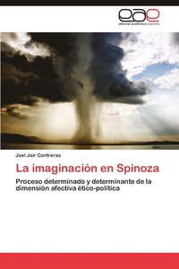bokomslag La Imaginacion En Spinoza