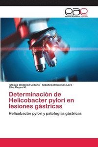 bokomslag Determinacin de Helicobacter pylori en lesiones gstricas