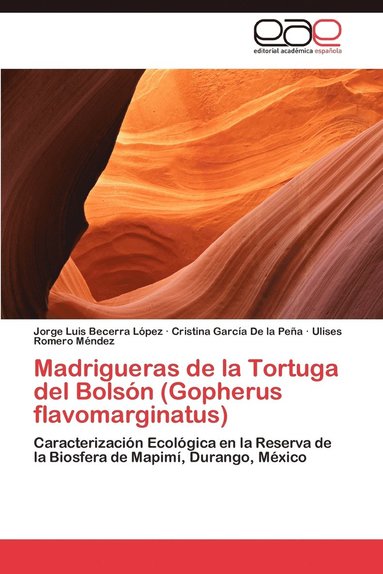bokomslag Madrigueras de La Tortuga del Bolson (Gopherus Flavomarginatus)