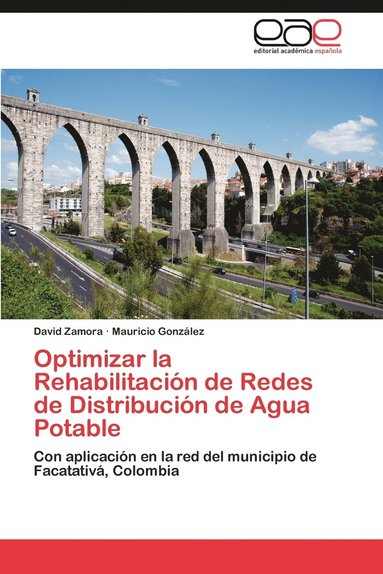 bokomslag Optimizar La Rehabilitacion de Redes de Distribucion de Agua Potable