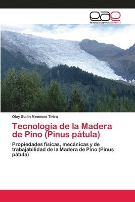Tecnologia de la Madera de Pino (Pinus patula) 1