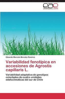 bokomslag Variabilidad Fenotipica En Accesiones de Agrostis Capillaris L.