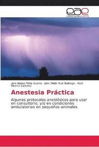 bokomslag Anestesia Prctica