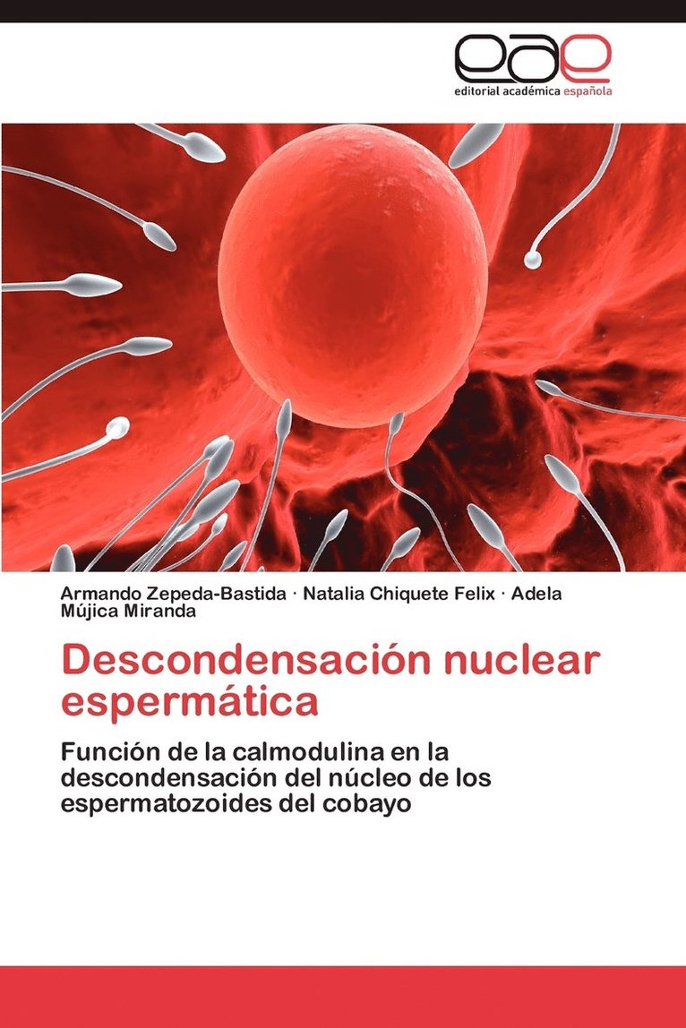 Descondensacion Nuclear Espermatica 1