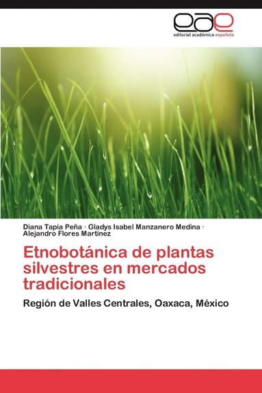 bokomslag Etnobotanica de Plantas Silvestres En Mercados Tradicionales