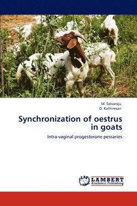 bokomslag Synchronization of oestrus in goats