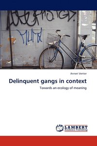 bokomslag Delinquent gangs in context