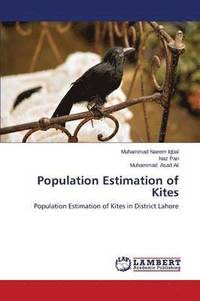 bokomslag Population Estimation of Kites