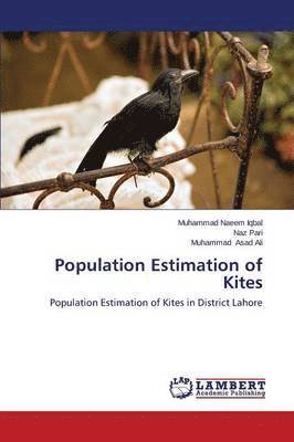bokomslag Population Estimation of Kites