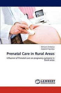 bokomslag Prenatal Care in Rural Areas