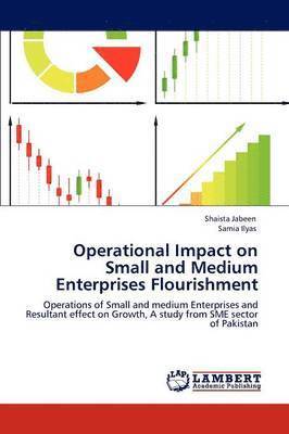 bokomslag Operational Impact on Small and Medium Enterprises Flourishment