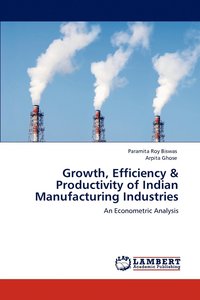 bokomslag Growth, Efficiency & Productivity of Indian Manufacturing Industries