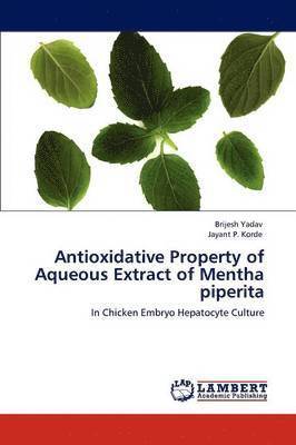 bokomslag Antioxidative Property of Aqueous Extract of Mentha piperita