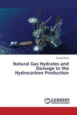 bokomslag Natural Gas Hydrates and Damage to the Hydrocarbon Production