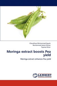 bokomslag Moringa extract boosts Pea yield