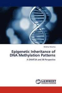 bokomslag Epigenetic Inheritance of DNA Methylation Patterns