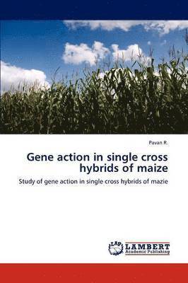 Gene action in single cross hybrids of maize 1