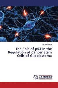 bokomslag The Role of P53 in the Regulation of Cancer Stem Cells of Glioblastoma