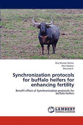 Synchronization protocols for buffalo heifers for enhancing fertility 1