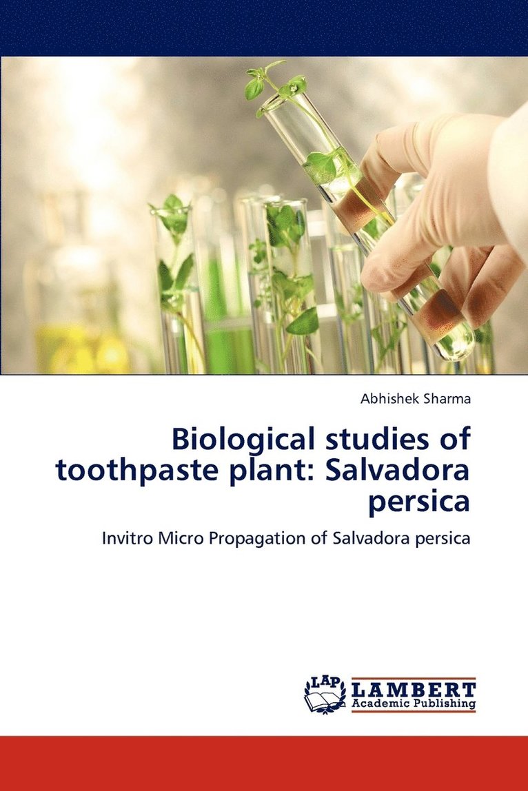 Biological studies of toothpaste plant 1