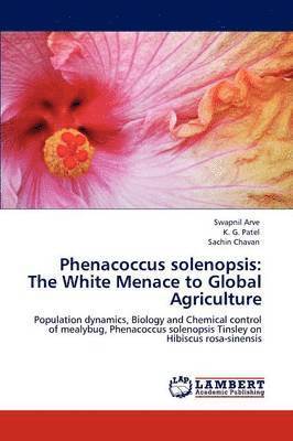 Phenacoccus Solenopsis 1