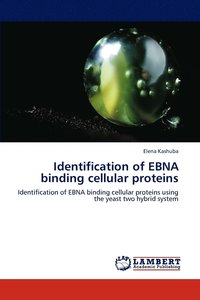 bokomslag Identification of Ebna Binding Cellular Proteins