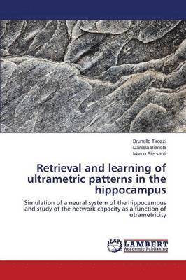 bokomslag Retrieval and Learning of Ultrametric Patterns in the Hippocampus