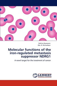bokomslag Molecular functions of the iron-regulated metastasis suppressor NDRG1