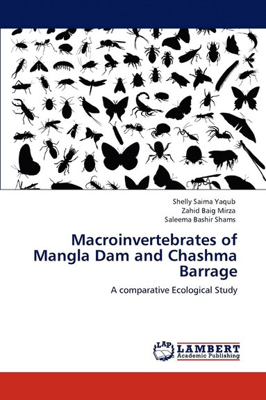 bokomslag Macroinvertebrates of Mangla Dam and Chashma Barrage