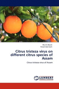 bokomslag Citrus tristeza virus on different citrus species of Assam