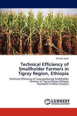 bokomslag Technical Efficiency of Smallholder Farmers in Tigray Region, Ethiopia