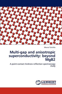 bokomslag Multi-gap and anisotropic superconductivity
