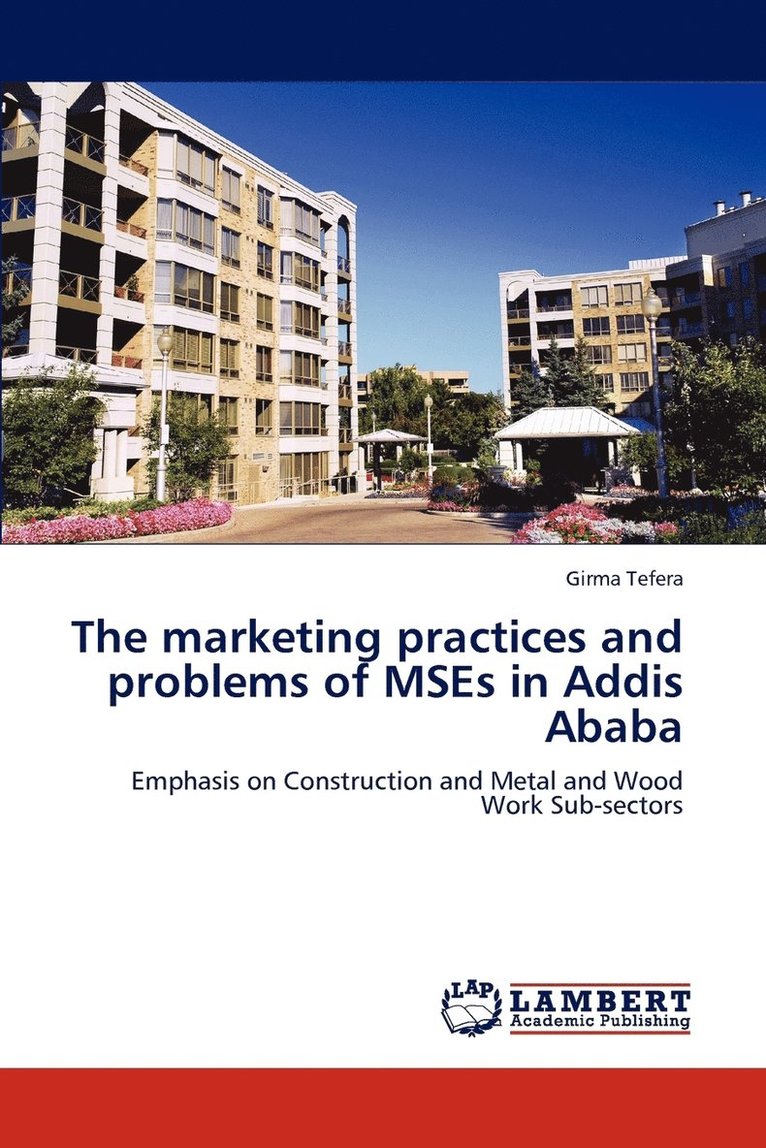 The marketing practices and problems of MSEs in Addis Ababa 1