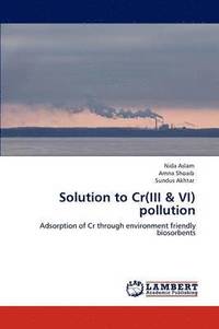 bokomslag Solution to Cr(iii & VI) Pollution