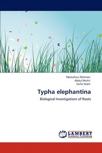 bokomslag Typha elephantina