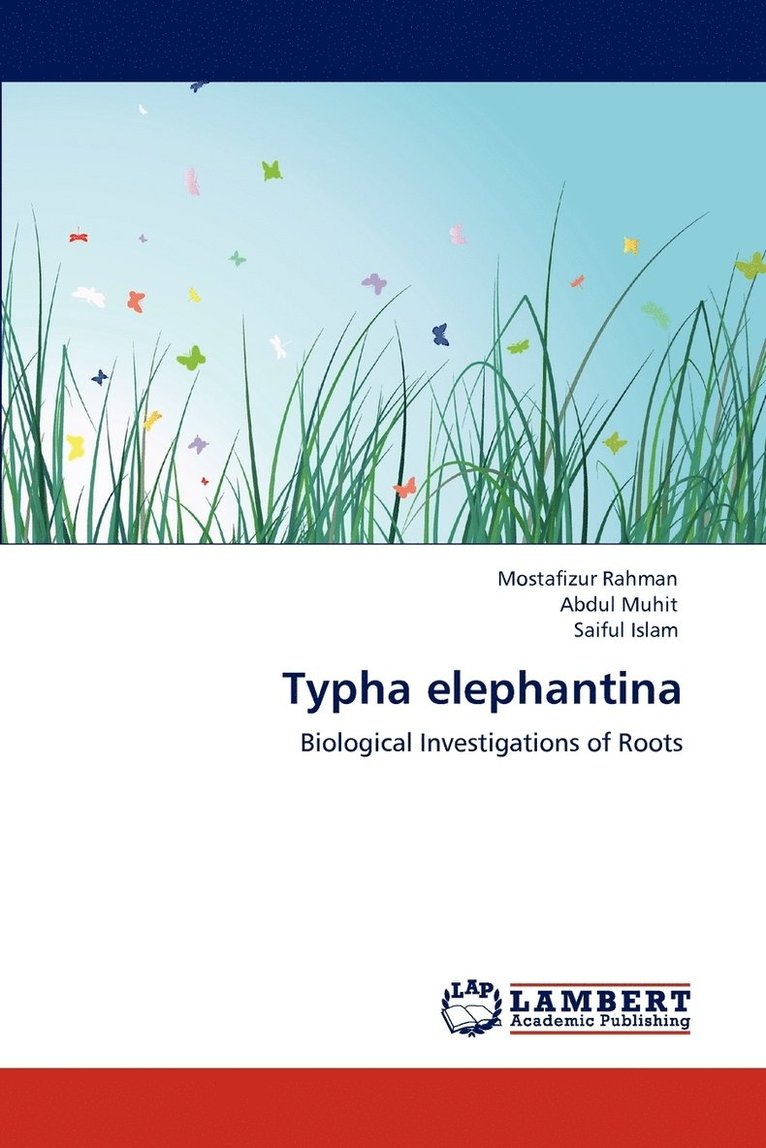 Typha elephantina 1