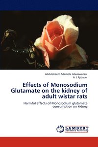 bokomslag Effects of Monosodium Glutamate on the kidney of adult wistar rats