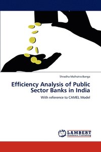 bokomslag Efficiency Analysis of Public Sector Banks in India