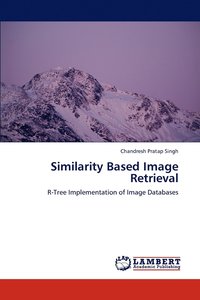 bokomslag Similarity Based Image Retrieval