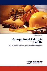 bokomslag Occupational Safety & Health
