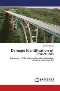 bokomslag Damage Identification of Structures