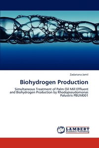 bokomslag Biohydrogen Production