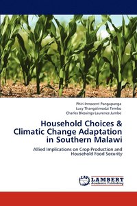 bokomslag Household Choices & Climatic Change Adaptation in Southern Malawi