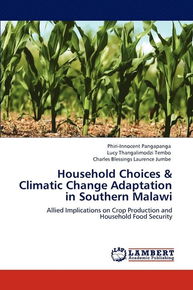 bokomslag Household Choices & Climatic Change Adaptation in Southern Malawi