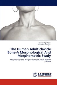 bokomslag The Human Adult clavicle Bone-A Morphological And Morphometric Study