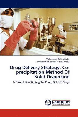 bokomslag Drug Delivery Strategy
