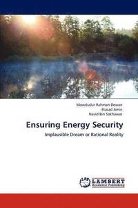 bokomslag Ensuring Energy Security