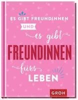 bokomslag Es gibt Freundinnen. Und es gibt Freundinnen fürs Leben
