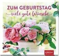 bokomslag Zum Geburtstag viele gute Wünsche