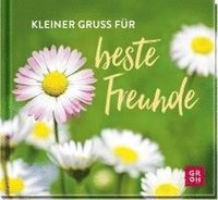 bokomslag Kleiner Gruß für beste Freunde